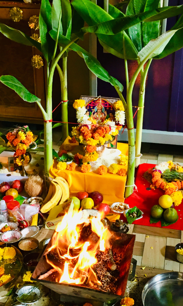 Untitled design - 2024-11-11T154543.642