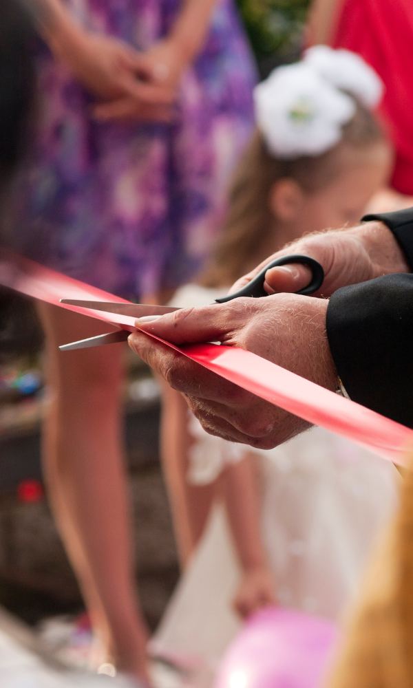 Untitled design - 2024-11-11T164359.644