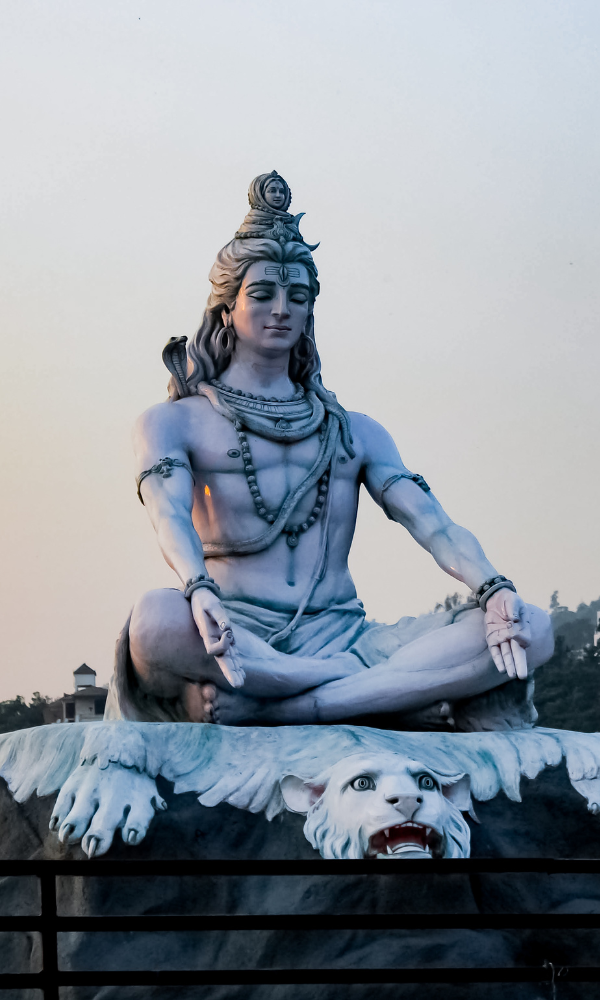 Untitled design - 2024-11-11T172201.907