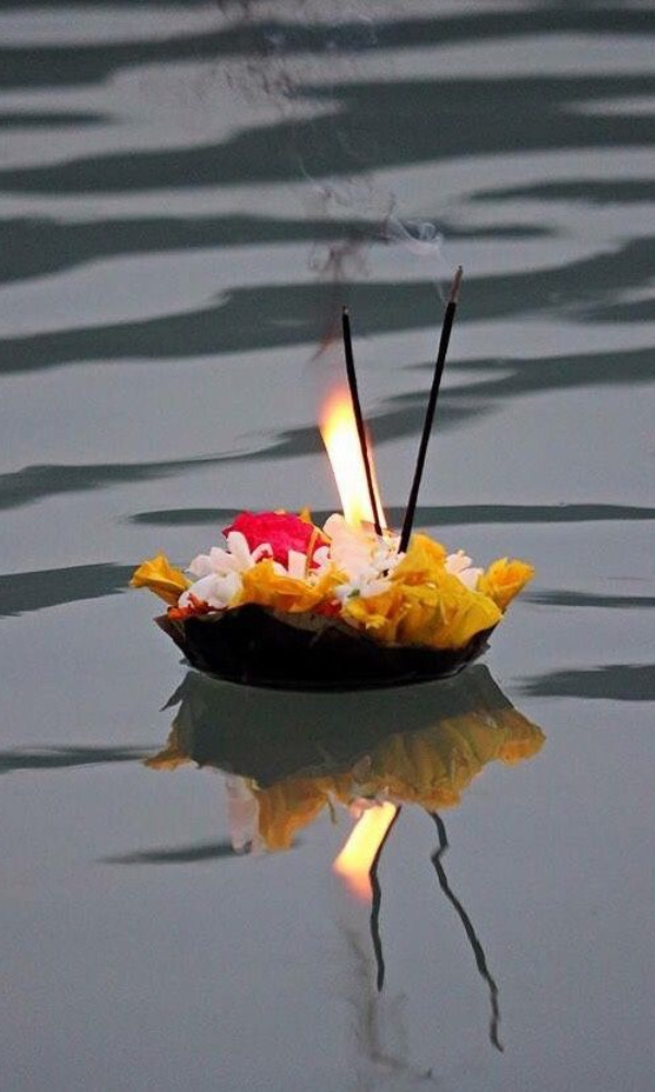 Untitled design - 2024-11-11T172938.495